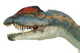 http://www.cmstudio.com/dilophosaurus.html