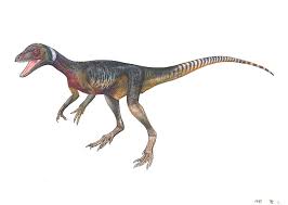 http://www.palaeos.com/Mesozoic/Triassic/Carnian.600.htm