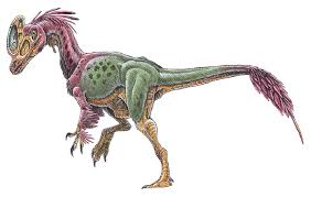 http://www.dinosaur-world.com/tyrannosaurs/guanlong_wucaii.htm
